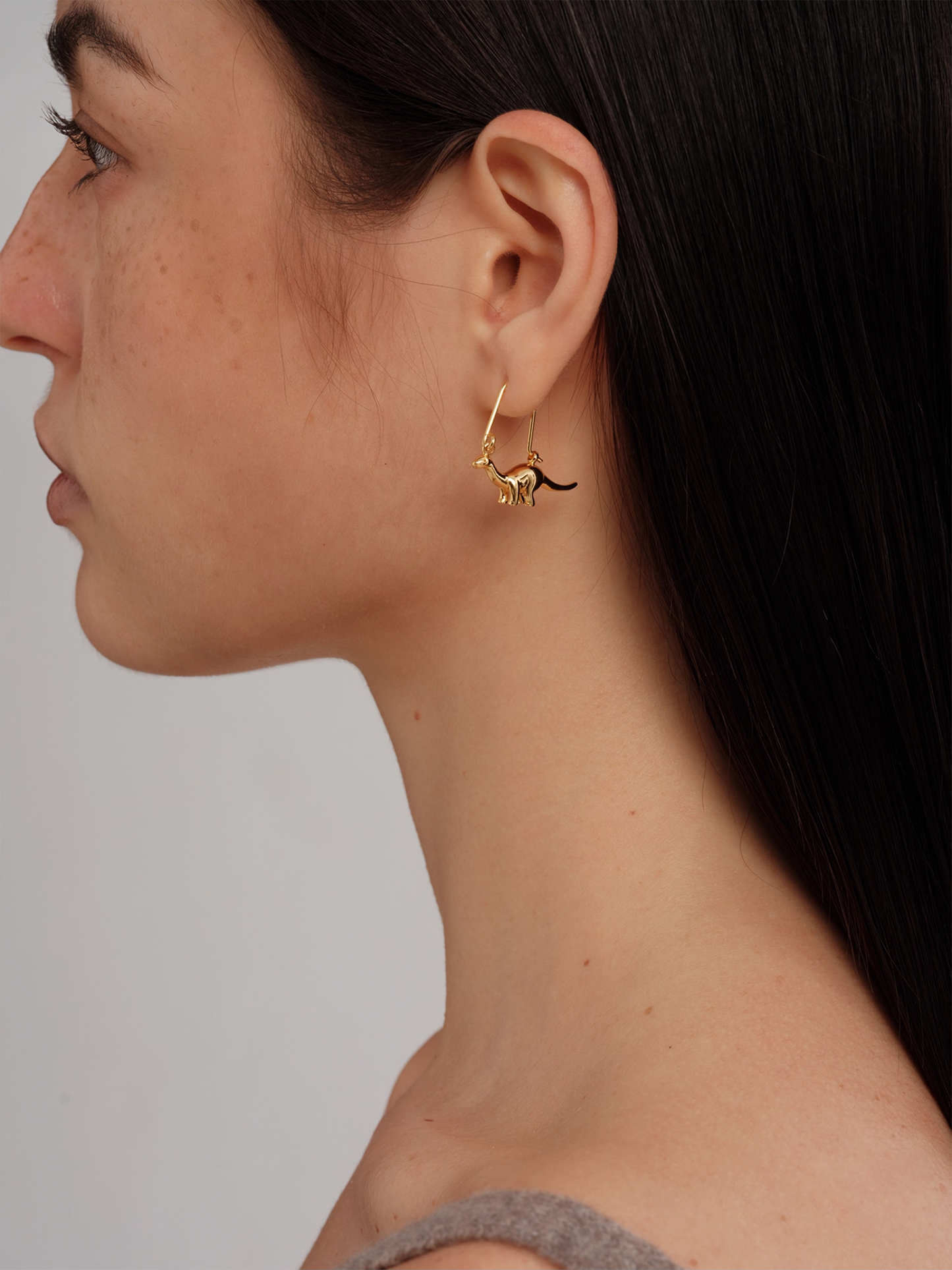 Dinosaur Earrings