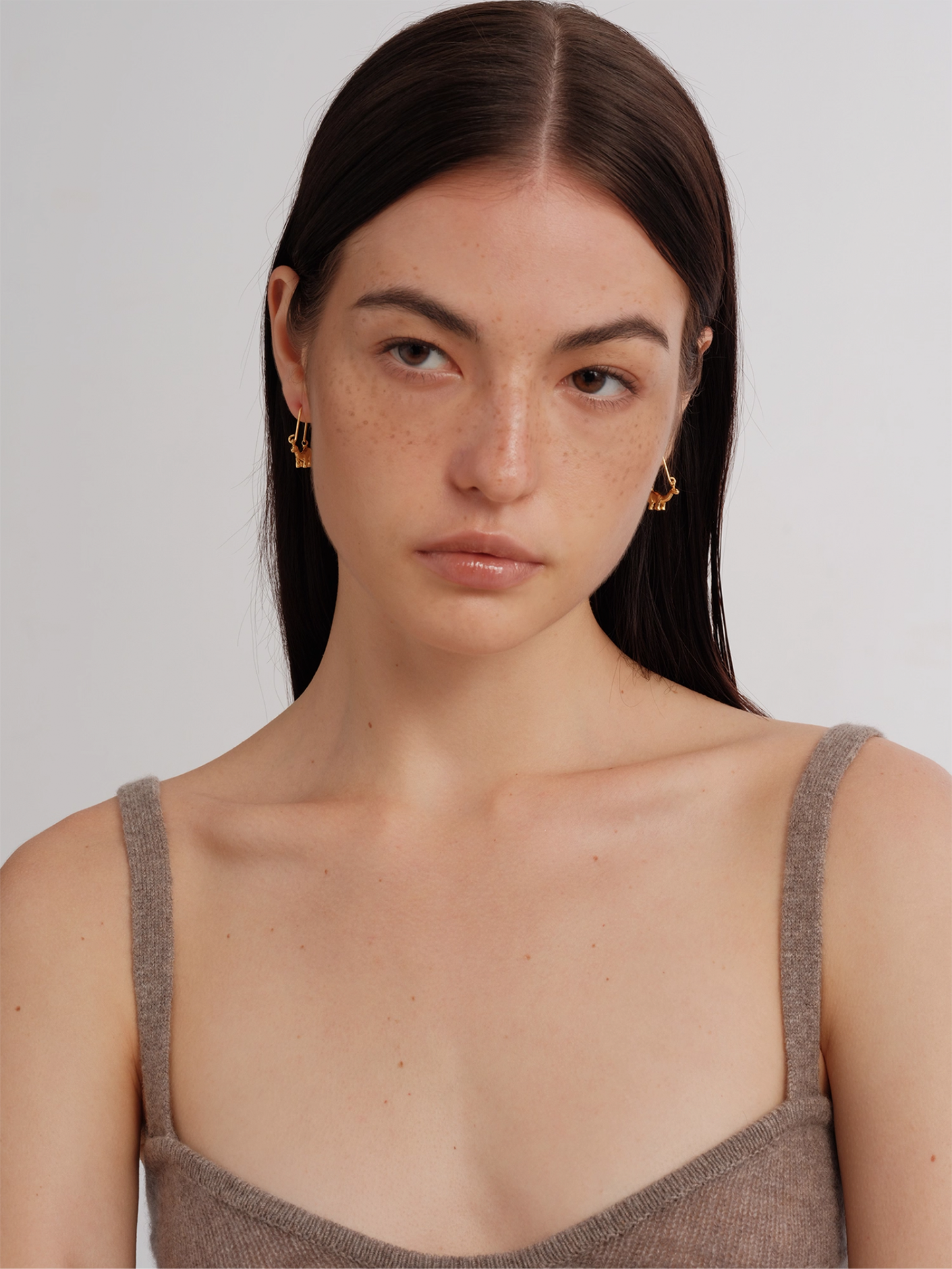 Dinosaur Earrings